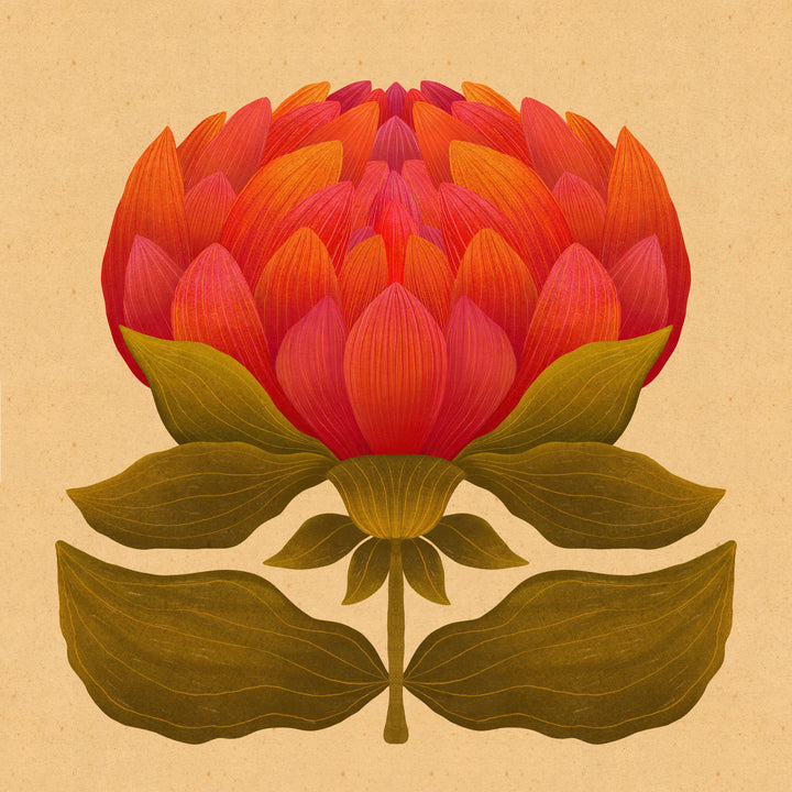 Desi Art Print