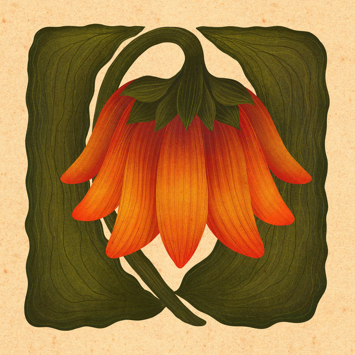 Etta Art Print