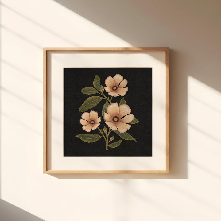 Magnolienblüten Kunstdruck