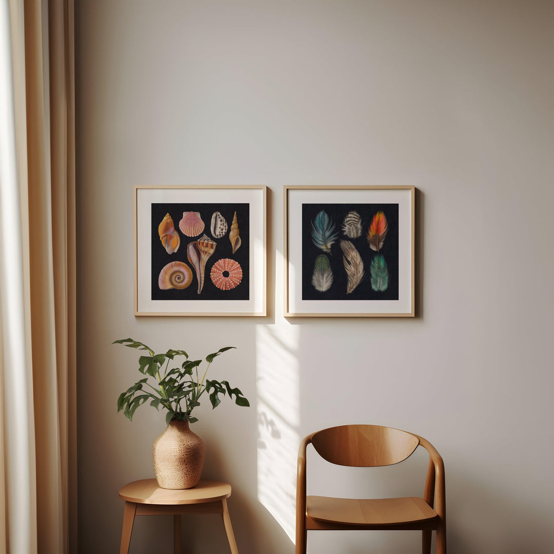Muscheln und Weichtiere Kunstdruck