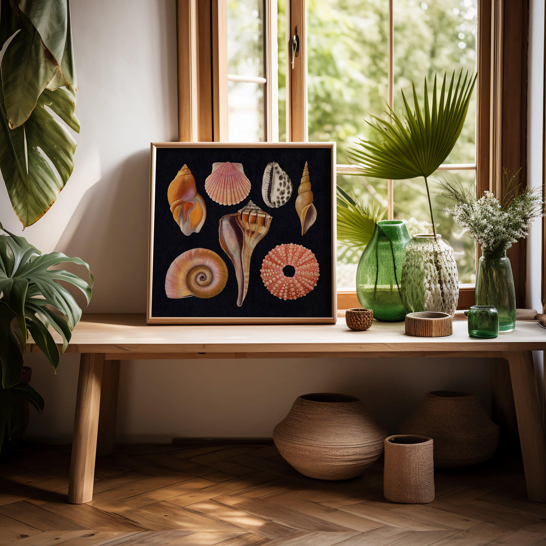 Muscheln und Weichtiere Kunstdruck