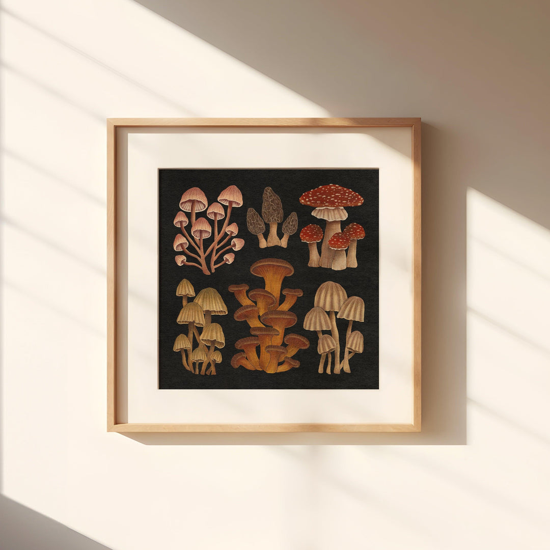 Nächtliche Pilze Kunstdruck