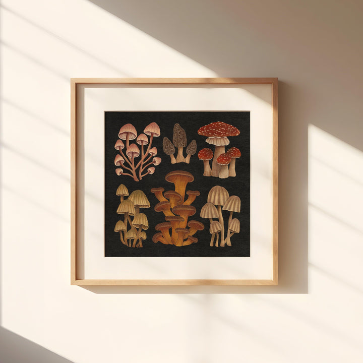 Nächtliche Pilze Kunstdruck
