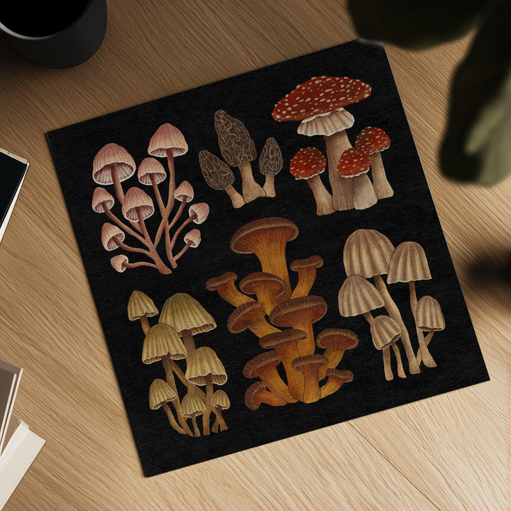 Nächtliche Pilze Kunstdruck
