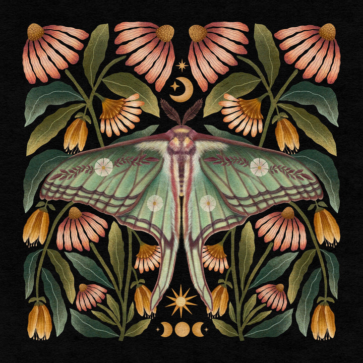 Spanish Moon Moth Art Print - High West Wild
