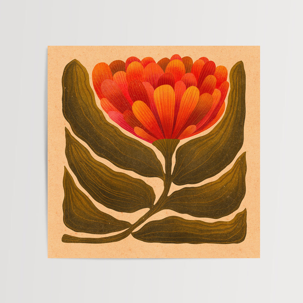 Vintage-inspired botanical illustration of an orange flower by Rebecca Zwanzig of High West Wild. Shop floral, plant, & animal illustrations to decorate your home. High West Wild is a curated collection of illustrations & wearable art inspired by scientific drawings of flora & fauna. 60s-inspired flower art.