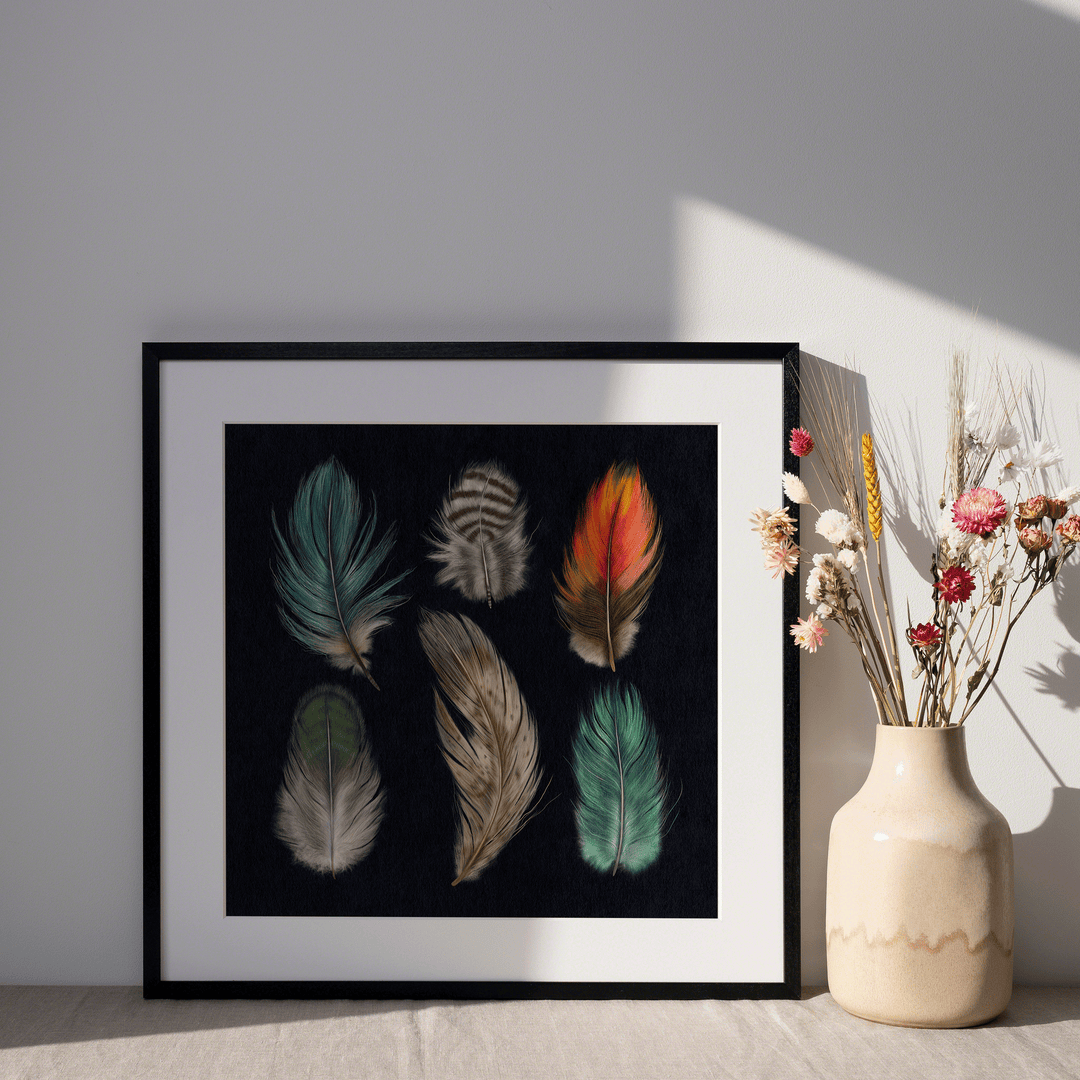 Feather Study Art Print