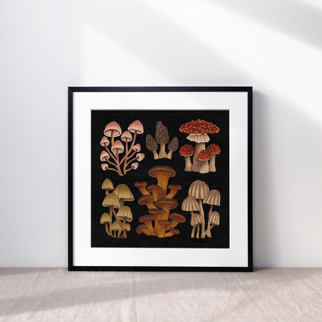 Nocturnal Mushrooms Art Print - High West Wild